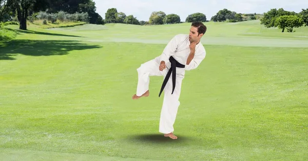 Sammansättning Manliga Kampsport Karate Artist Med Svart Bälte Praktiserar Park — Stockfoto