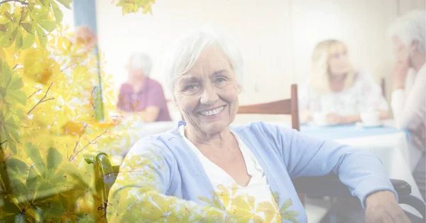 Sammansättning Leende Seniorkaukasisk Kvinna Rullstol Med Trädöverdrag Pensionering Och Äldre — Stockfoto