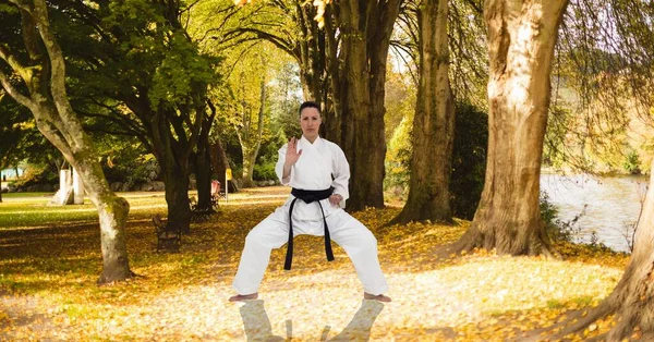 Sammansättning Kvinnliga Kampsport Karate Artist Med Svart Bälte Praktiserar Park — Stockfoto