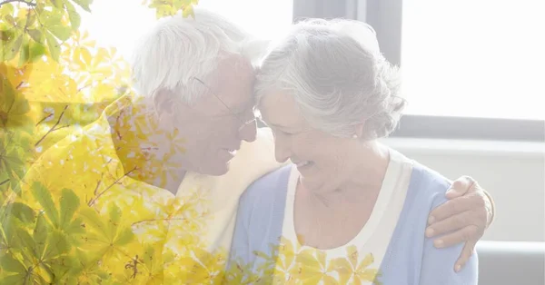 Composition Smiling Senior Caucasian Couple Embracing Tree Overlay Retirement Senior — Stock Photo, Image