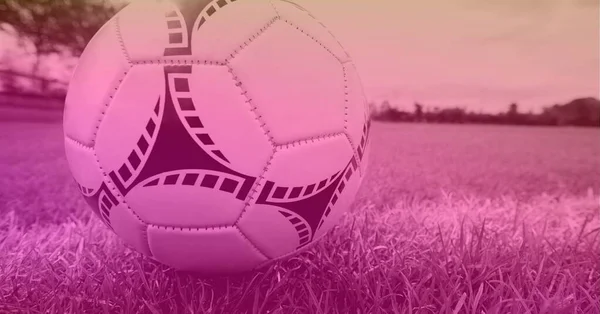 Composition of football on white line on grass pitch with copy space and pink tint. sport and competition concept digitally generated image.