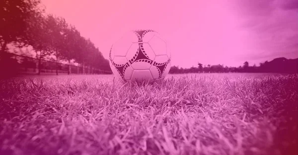 Composição Futebol Campo Grama Com Espaço Cópia Tonalidade Rosa Conceito — Fotografia de Stock