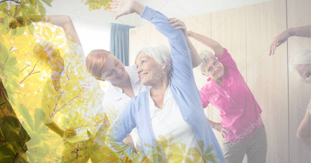 Composition of smiling senior man and women exercising in fitness class with tree overlay. retirement, fitness and active lifestyle concept digitally generated image.