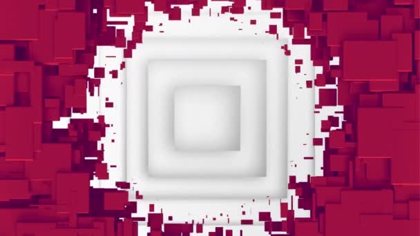赤の3Dブロックのアニメーションは 脈動する白い正方形を明らかにする 世界中の科学やアイデアや研究の概念をデジタルで生成し — ストック動画