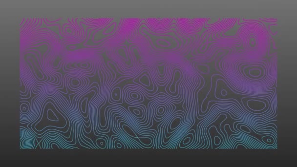 在灰色背景上有机移动的蓝色和粉色地形线的动画 运动和变化概念 数字视频 — 图库视频影像