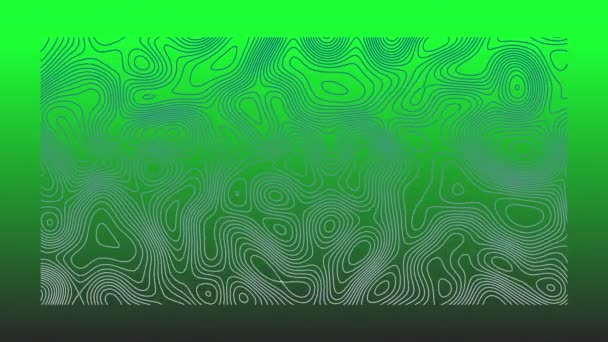 Animation Lignes Topographiques Grises Mouvement Organique Sur Fond Vert Vif — Video