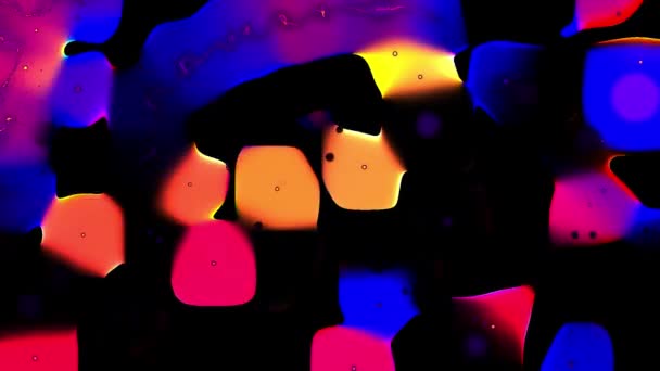 Анімація Пульсуючих Жовтих Рожевих Синіх Сяючих Форм Рухаються Чорному Тлі — стокове відео
