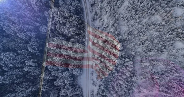 森林や道路のアメリカの旗の上に組成 愛国心とお祝いのコンセプトをデジタルで — ストック写真
