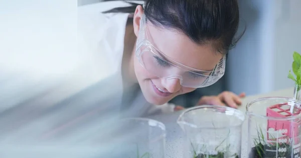 Composition Des Scientifiques Féminines Qui Étudient Les Plantes Laboratoire Avec — Photo