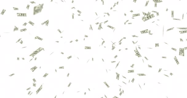 Анімація Американських Доларових Банкнот Падали Білий Фон Патріотизм Фінанси Концепція — стокове відео