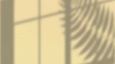 Pencere çerçevesi ve bitki yaprağı gölgeleri krem duvar arka planında hareket ediyor. Doğa, güneş ışığı ve hareket konsepti, dijital olarak üretilen video.