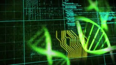 DNA dizilimi, bilgisayar devre kartı ve bilimsel veri işleme animasyonu. küresel bilim, araştırma ve veri işleme kavramı dijital olarak oluşturulmuş video.