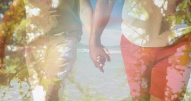 Deniz kenarında yürüyen mutlu yaşlı çiftin üzerinde parlayan ışığın animasyonu. emeklilik ve yaşlı yaşam konsepti dijital olarak oluşturulmuş video.