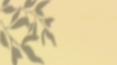 Krem rengi duvarda hareket eden bitki yaprağı gölgelerinin animasyonu. Doğa, güneş ışığı ve hareket konsepti, dijital olarak üretilen video.