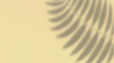 Krem rengi duvarda hareket eden bitki yaprağı gölgelerinin animasyonu. Doğa, güneş ışığı ve hareket konsepti, dijital olarak üretilen video.