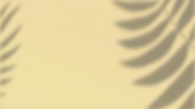 Krem rengi duvarda hareket eden bitki yaprağı gölgelerinin animasyonu. Doğa, güneş ışığı ve hareket konsepti, dijital olarak üretilen video.