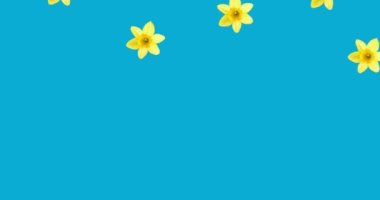 Mavi arkaplanda hareket eden birden fazla sarı çiçeğin canlandırması. desen, renk ve hareket konsepti dijital olarak oluşturulmuş video.