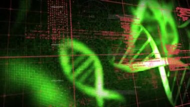 DNA dizilimi ve bilimsel veri işleme animasyonu. küresel bilim, araştırma ve veri işleme kavramı dijital olarak oluşturulmuş video.