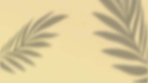 Анимация Тени Листьев Растений Движущихся Фоне Кремовой Стены Природа Солнечный — стоковое видео