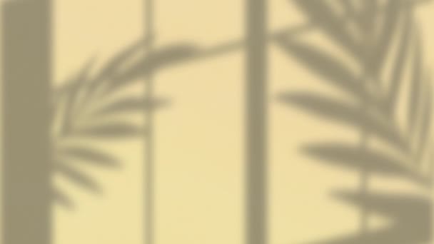 Анімація Віконної Рами Тіней Рослин Рухаються Фоні Кремових Стін Природа — стокове відео