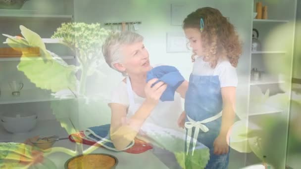 Animação Luz Brilhante Sobre Mulher Sênior Com Neta Cozinha Aposentadoria — Vídeo de Stock