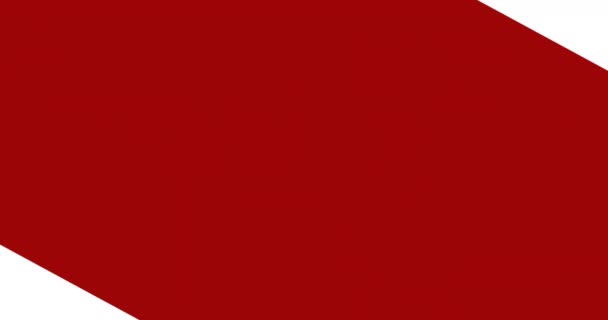 Анимация Текста Дня Ветеранов Над Американским Флагом Патриотизм Концепция Празднования — стоковое видео