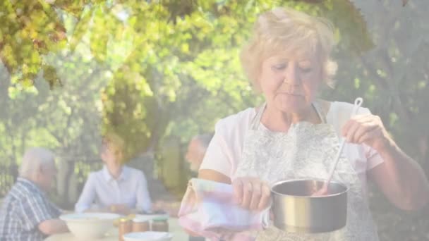 Yaşlı Bir Kadının Yemek Pişirmesi Arka Plandaki Ağaçların Üzerindeki Parlayan — Stok video