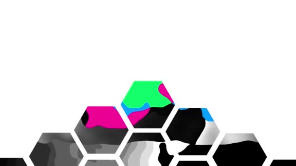 Animation Moving Colourful Grey Scale Blotches Hexagons White Background Energy — Stock Video