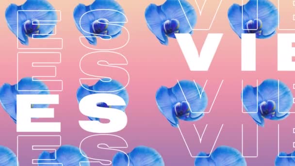 Animatie Van Vibes Tekst Met Blauwe Bloemen Roze Achtergrond Retro — Stockvideo