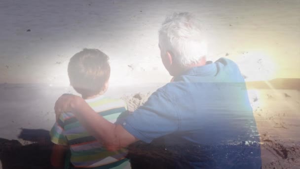 Animación Luz Brillante Sobre Hombre Mayor Con Nieto Playa Jubilación — Vídeos de Stock