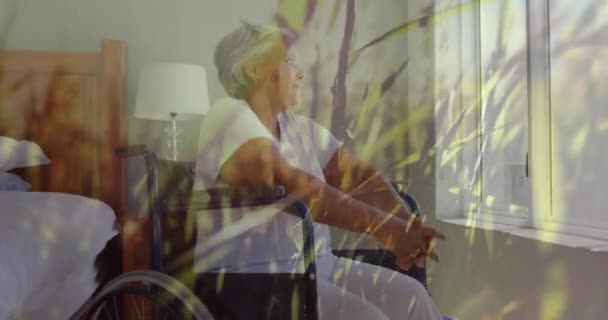 Animation Glowing Light Senior Woman Wheelchair Looking Window Retirement Senior — Stock Video