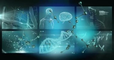 Ekranlarda tıbbi veri işleme animasyonu. küresel tıp, araştırma, teknoloji, veri işleme ve dijital arayüz kavramı dijital olarak oluşturulmuş video.