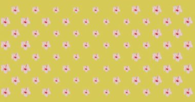 Konuşma baloncuğunun üstündeki büyük satış metninin animasyonu ve hipnotik hareketle hareket eden çiçekler. perakende, satış ve tasarruf konsepti dijital olarak oluşturulmuş video.