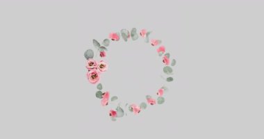 Pembe çiçeklerin gri arka planda dönen hipnotik hareketlerinin animasyonu. renk, doğa, model ve hareket konsepti dijital olarak oluşturulmuş video.