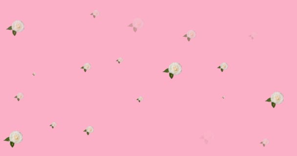 Animación Por Ciento Texto Sobre Burbuja Del Habla Flores Moviéndose — Vídeo de stock
