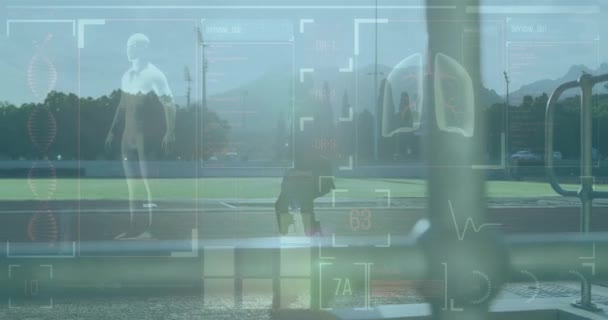 데이터 애니메이션 트랙에서 블레이드를 장애인 글로벌 스포츠 디지털 비디오 — 비디오