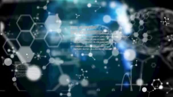 Animation Kemiske Forbindelser Menneskelige Hjerne Medicinsk Databehandling Global Teknologi Videnskab – Stock-video