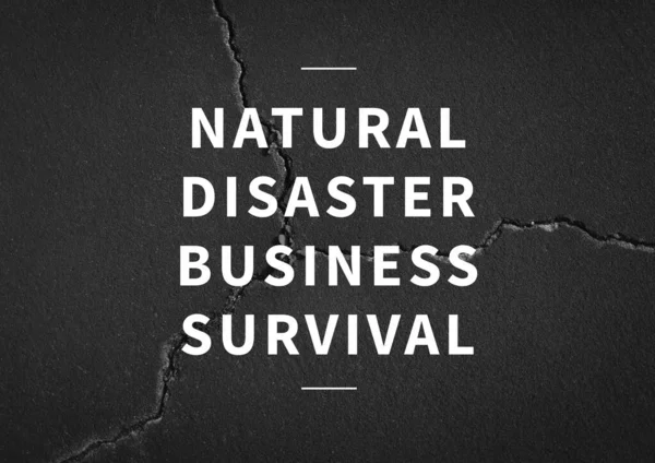 Samenstelling Van Natuurramp Bedrijf Overleving Tekst Wit Gebarsten Muur Business — Stockfoto