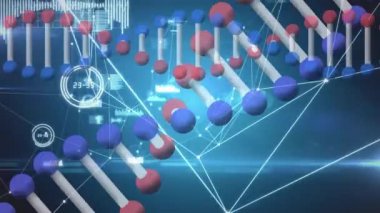 Bağlantı ağıyla dönen DNA ipliklerinin animasyonu. küresel bilim, ağlar, teknoloji ve bağlantılar konsepti dijital olarak oluşturulmuş video.