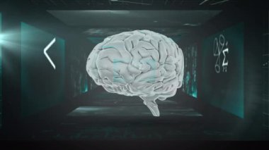 Denklemler ve istatistiksel bilgi işleme ile insan beyninin dönüşümünün animasyonu. dijital arayüz, tıbbi teknoloji, araştırma ve bilgi konsepti, dijital olarak oluşturulmuş video.