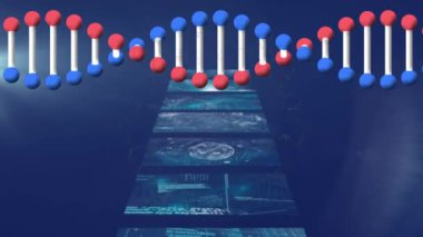 Ekranlardaki veri işleme üzerinde dönen DNA iplikçiklerinin animasyonu. küresel bilim, ağlar, teknoloji ve bağlantılar konsepti dijital olarak oluşturulmuş video.