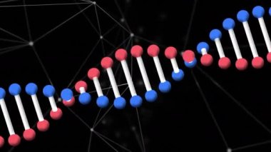 Bağlantı ağlarıyla dönen DNA ipliklerinin animasyonu. küresel bilim, ağlar, teknoloji ve bağlantılar konsepti dijital olarak oluşturulmuş video.