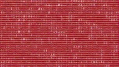 Kırmızı arkaplanda arıza olan ikili kodlama veri işleme animasyonu. küresel veri işleme ve dijital arayüz konsepti dijital olarak oluşturulmuş video.