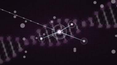 Bağlantı ağıyla dönen DNA ipliklerinin animasyonu. küresel bilim, tıp, ağlar, teknoloji ve bağlantılar konsepti dijital olarak oluşturulmuş video.