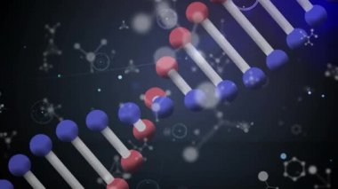 Moleküllerle ve bağlantı ağıyla dönen DNA iplikçiklerinin animasyonu. küresel bilim, tıp, ağlar, teknoloji ve bağlantılar konsepti dijital olarak oluşturulmuş video.