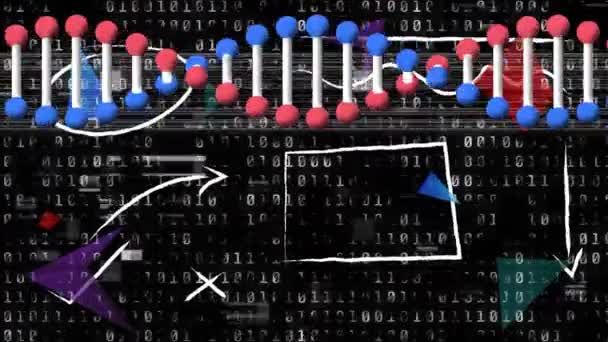 Animasjon Dna Strenger Spinning Binær Koding Databehandling Global Vitenskap Forskningsforbindelser – stockvideo