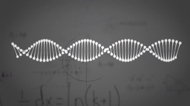 Animatie Van Dna Streng Medische Gegevensverwerking Grijze Achtergrond Mondiaal Concept — Stockvideo