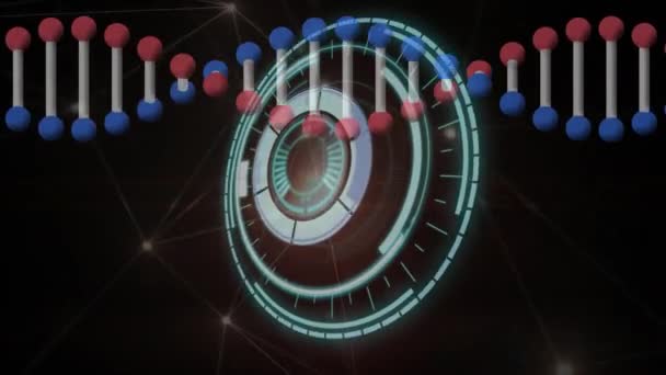 Animering Dna Strängen Spinning Med Nätverk Anslutningar Global Vetenskap Medicin — Stockvideo