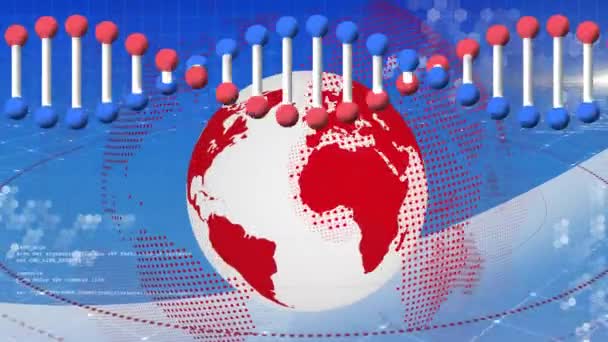 Animación Hebra Adn Girando Con Globo Red Conexiones Ciencia Global — Vídeo de stock
