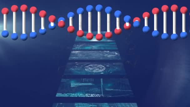 屏幕上数据处理过程中Dna链旋转的动画 全球科学 技术和连接概念数字生成的视频 — 图库视频影像